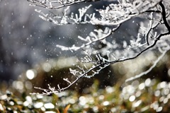 6F61E1A2-8751-4AD7-9790-E02F5573BDC1