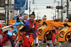 観音寺よさこい踊り