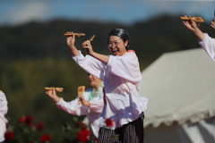 よさこい