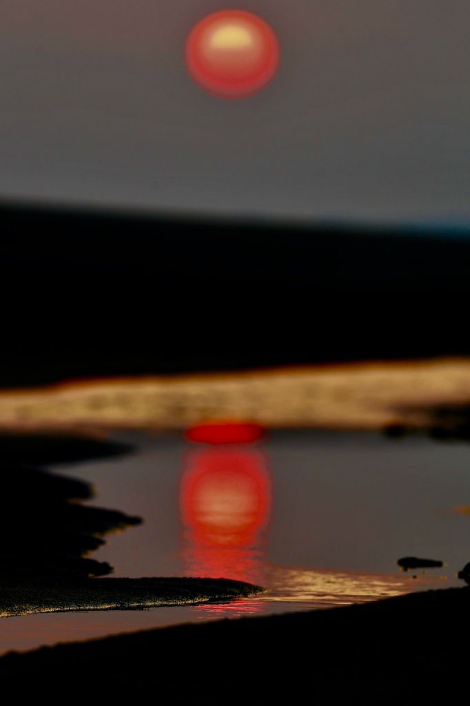 夕日