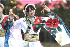 よさこい