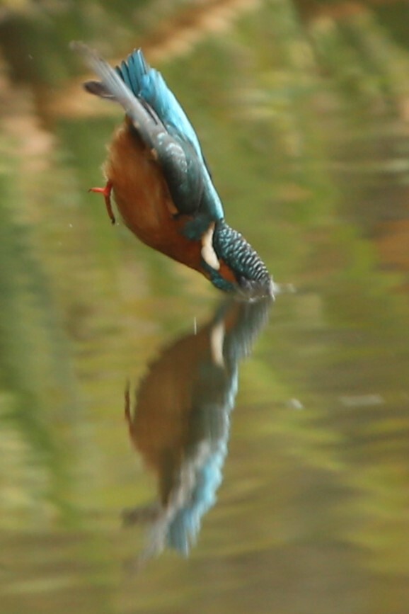行き過ぎ