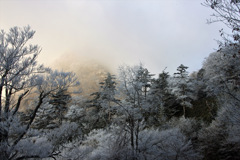 霧氷