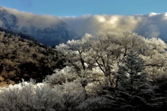 霧氷