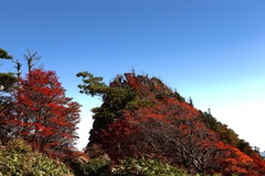 紅葉