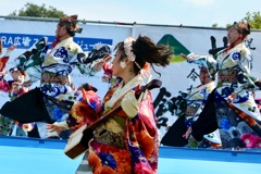 よさこい踊り