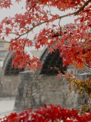 秋の錦帯橋