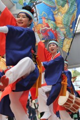 高知よさこい踊り