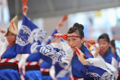 高知よさこい踊り