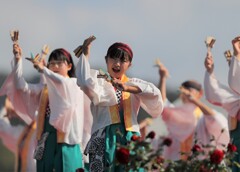 よさこい