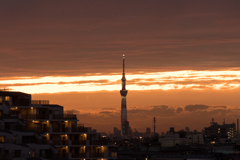 20191026夕景（タワー）