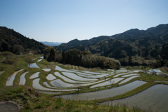 千枚田