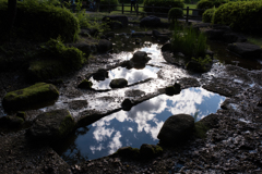 苔と青空