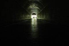 To the light