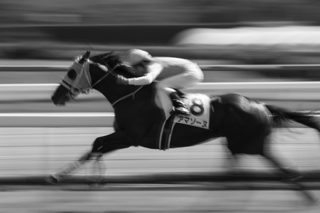新馬