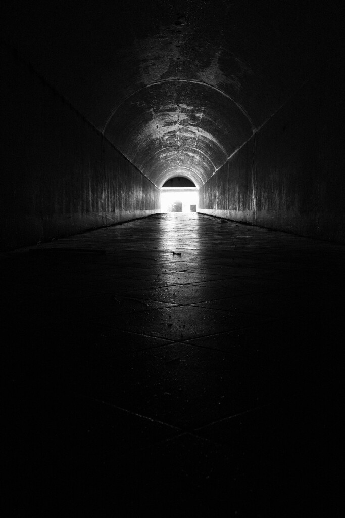 Toward the light