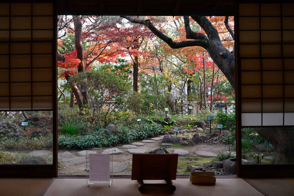 2024　林芙美子記念館０２