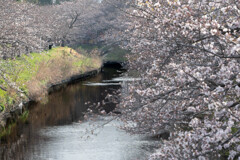 いまさら1