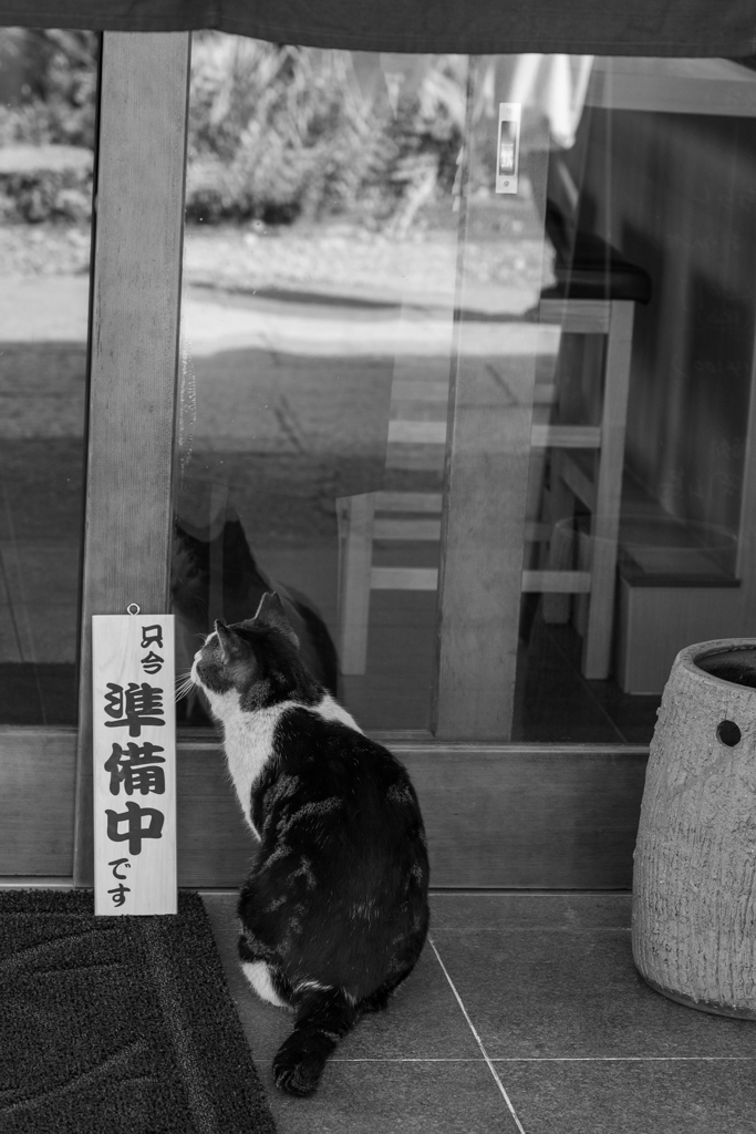 開店まち