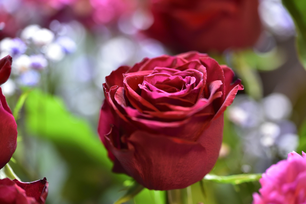 薔薇の花束