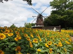 船橋アンデルセン公園 風車