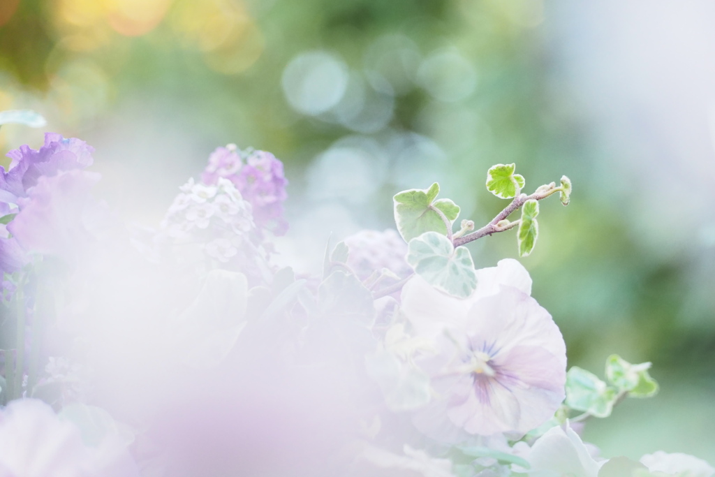 百合が原公園温室