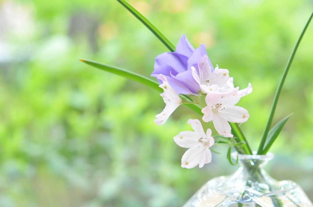 花瓶