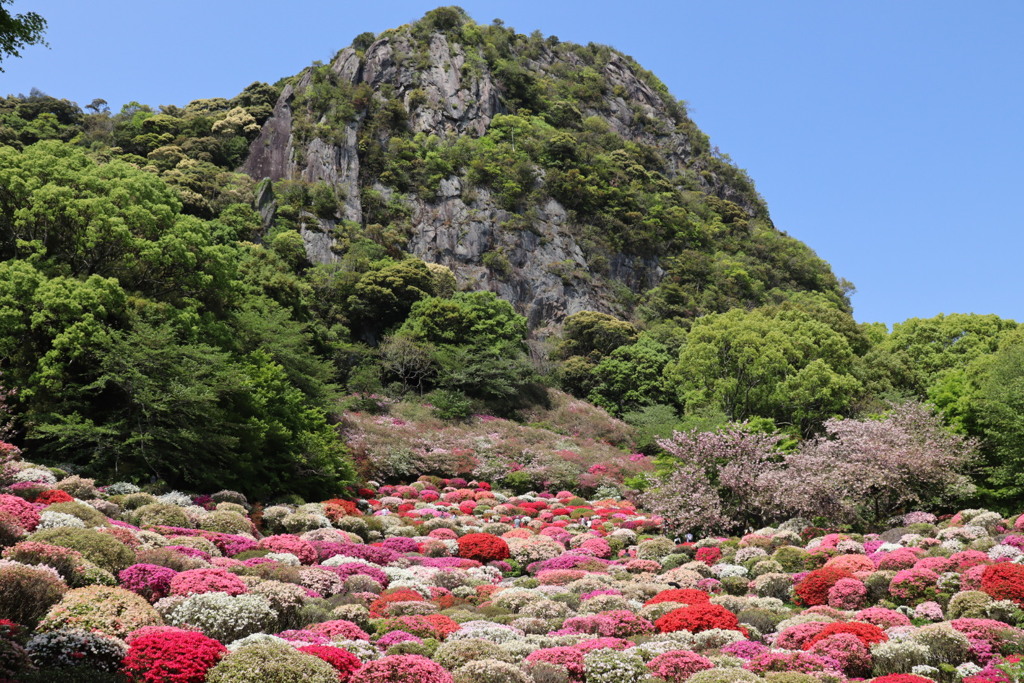 御船山楽園ツツジ谷