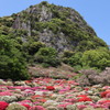 御船山楽園ツツジ谷