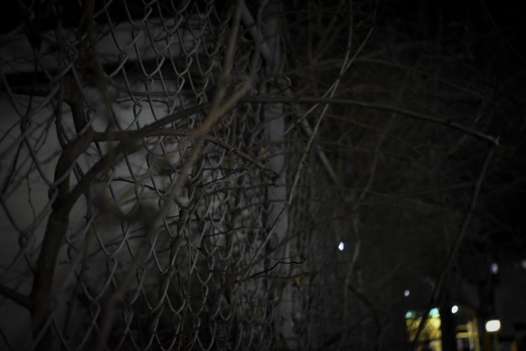 Fence