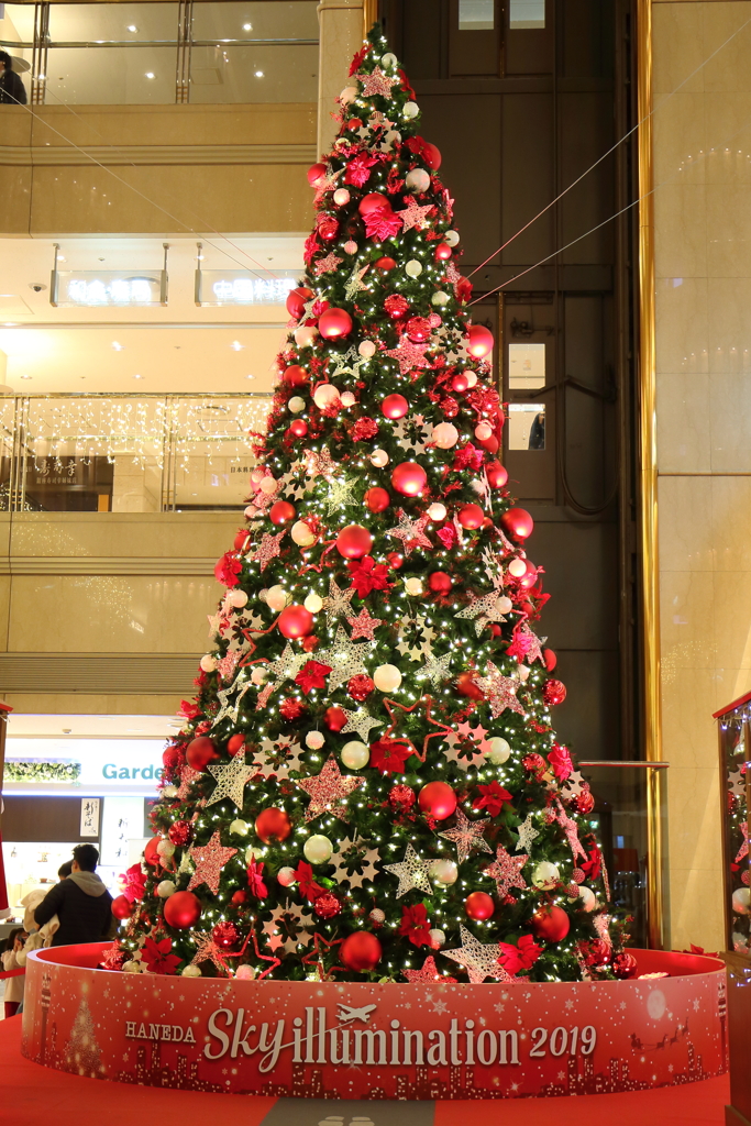 クリスマスツリー　ＨＮＤ