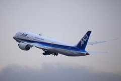 Ｂ７８７－９　しなり