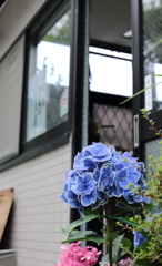 とうふ屋さんの軒先