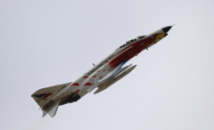 ２０１８　オジロワシ２