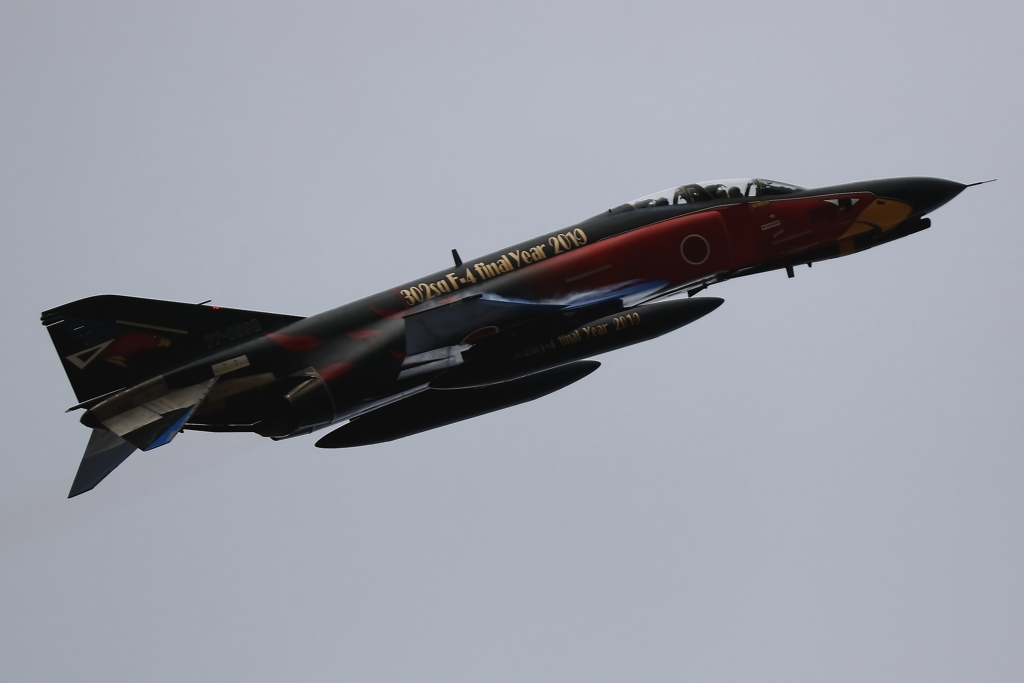 ２０１８　オジロワシ