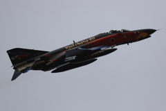 ２０１８　オジロワシ