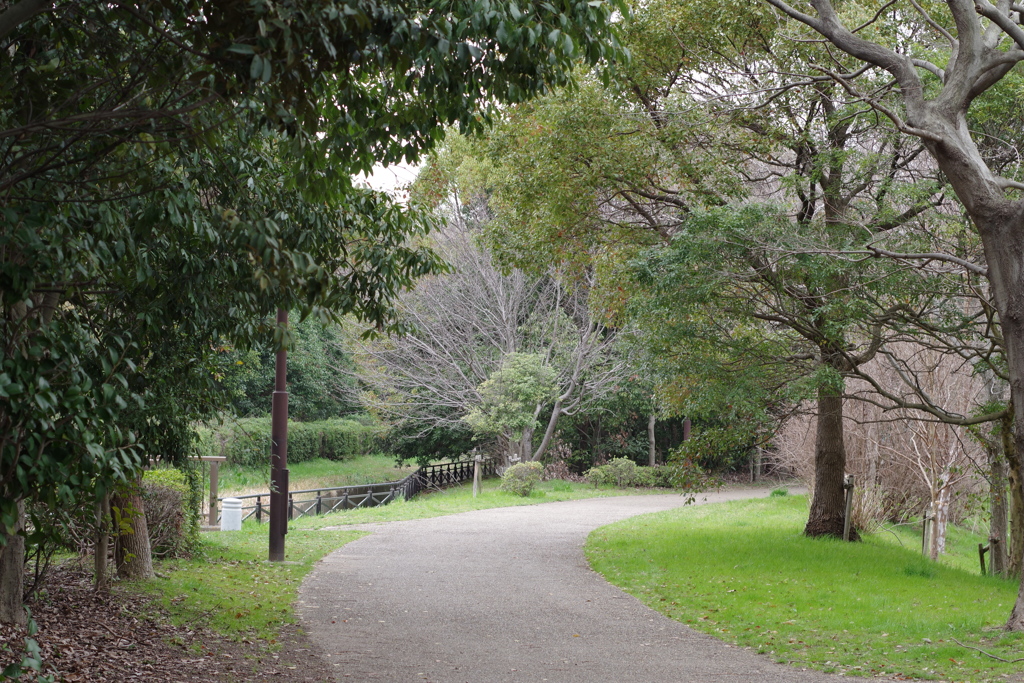 とある公園