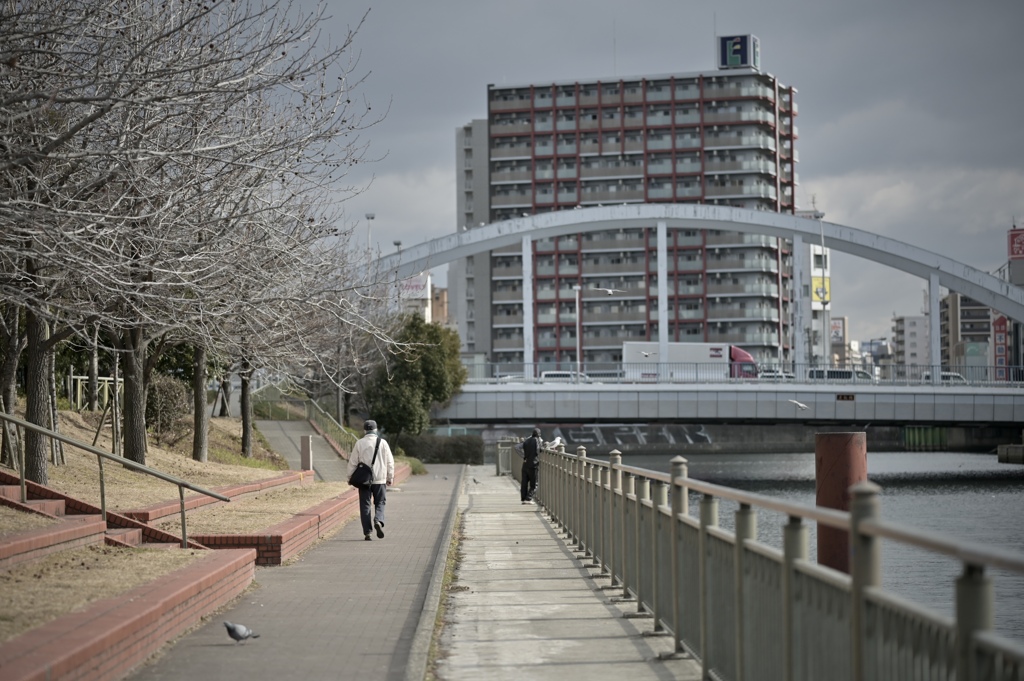 冬の散歩道