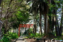 ヤシの木神社