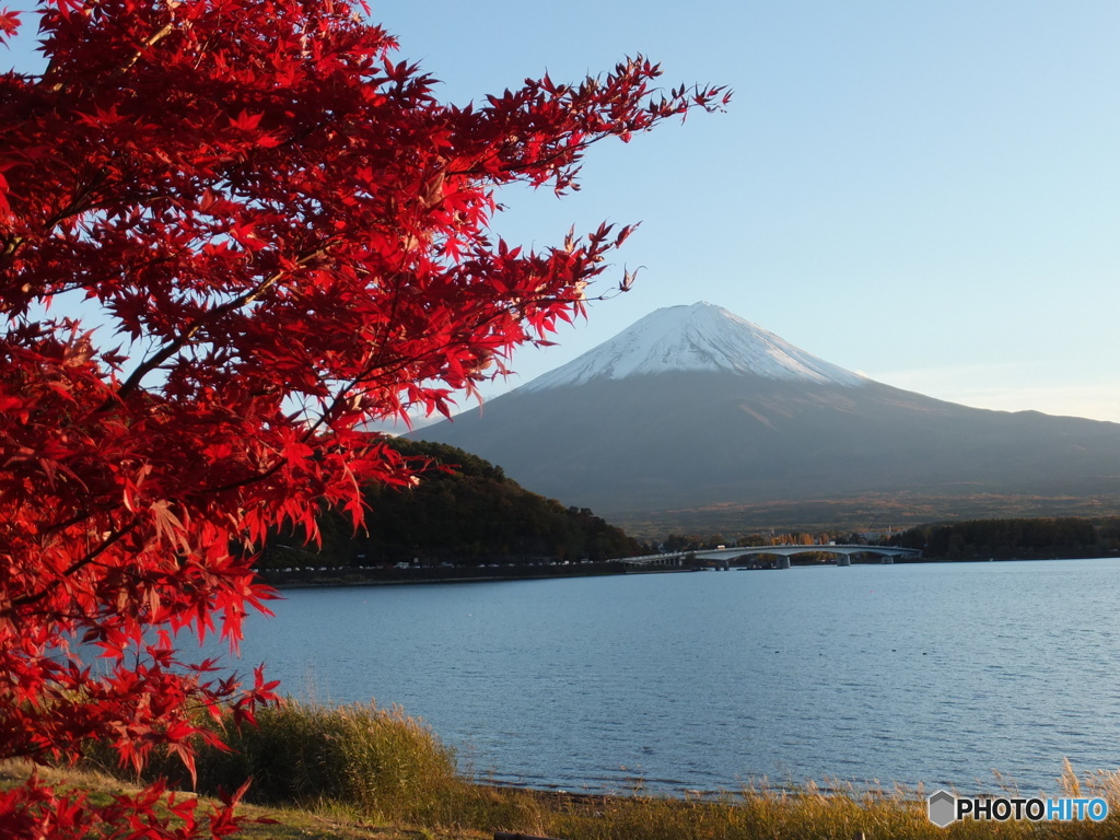 富士山　紅葉