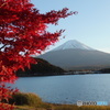 富士山　紅葉