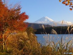 富士山　秋