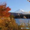 富士山　秋