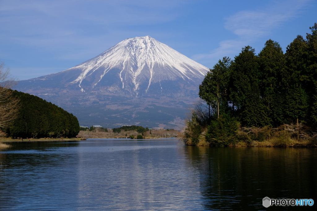 フォレスト　Ｍｔ.ＦＵＪＩ