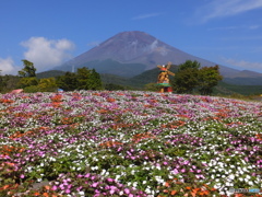 花　富士山