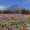 花　富士山