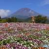 花　富士山