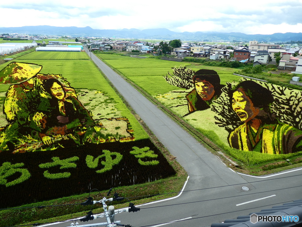 田んぼアート