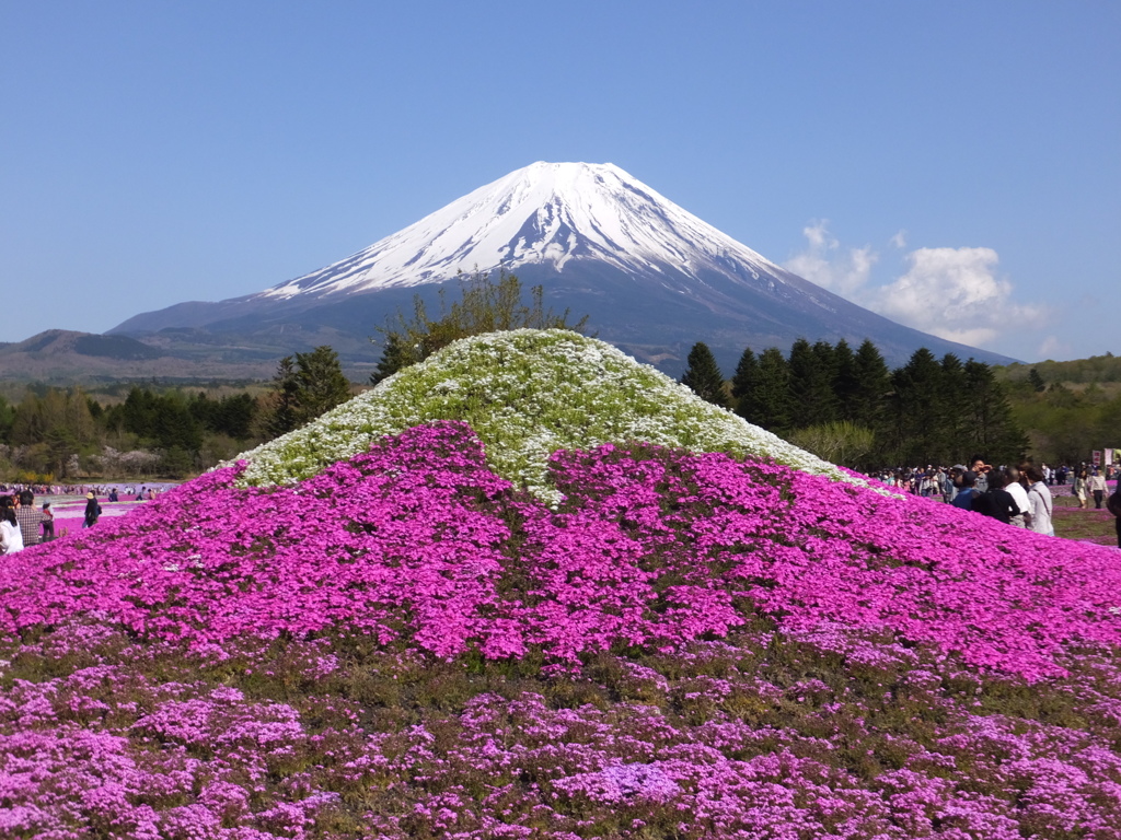 富士山がふたつ？