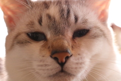 笑ったら負け